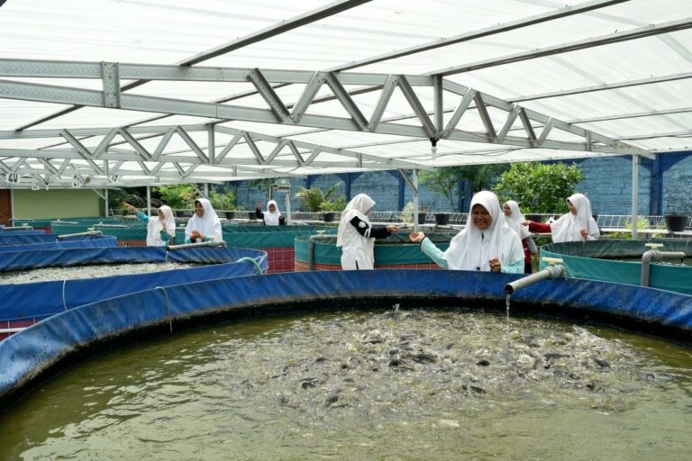 Gontor Putri 1 Menanamkan Kemandirian melalui Gerakan Ekonomi Produktif