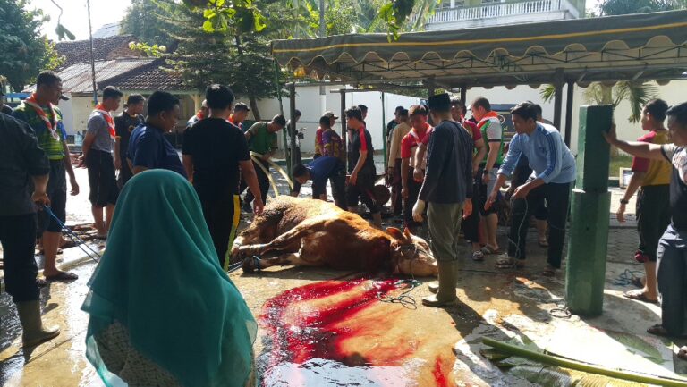 Penyembelihan Hewan Kurban Hari Pertama