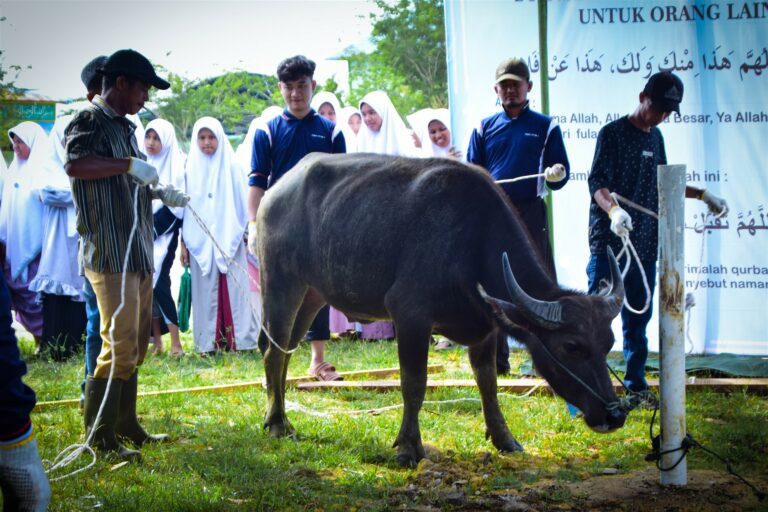 Semarak Idul Adha Di Kampung Nan Damai