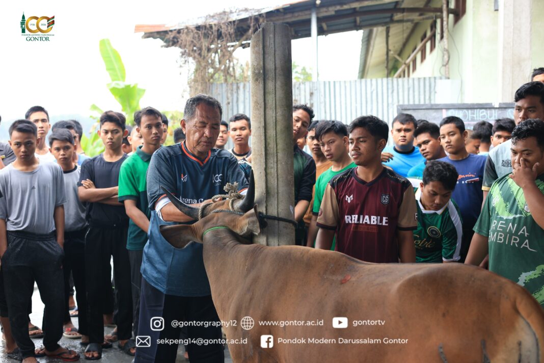 Idul Adha PMDG Kampus 12