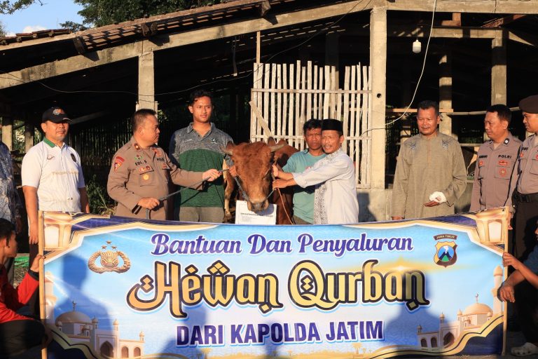 Kapolda Jawa Timur Menyerahkan Sapi Kurban Untuk PMDG Pada Idul Adha 1447 H